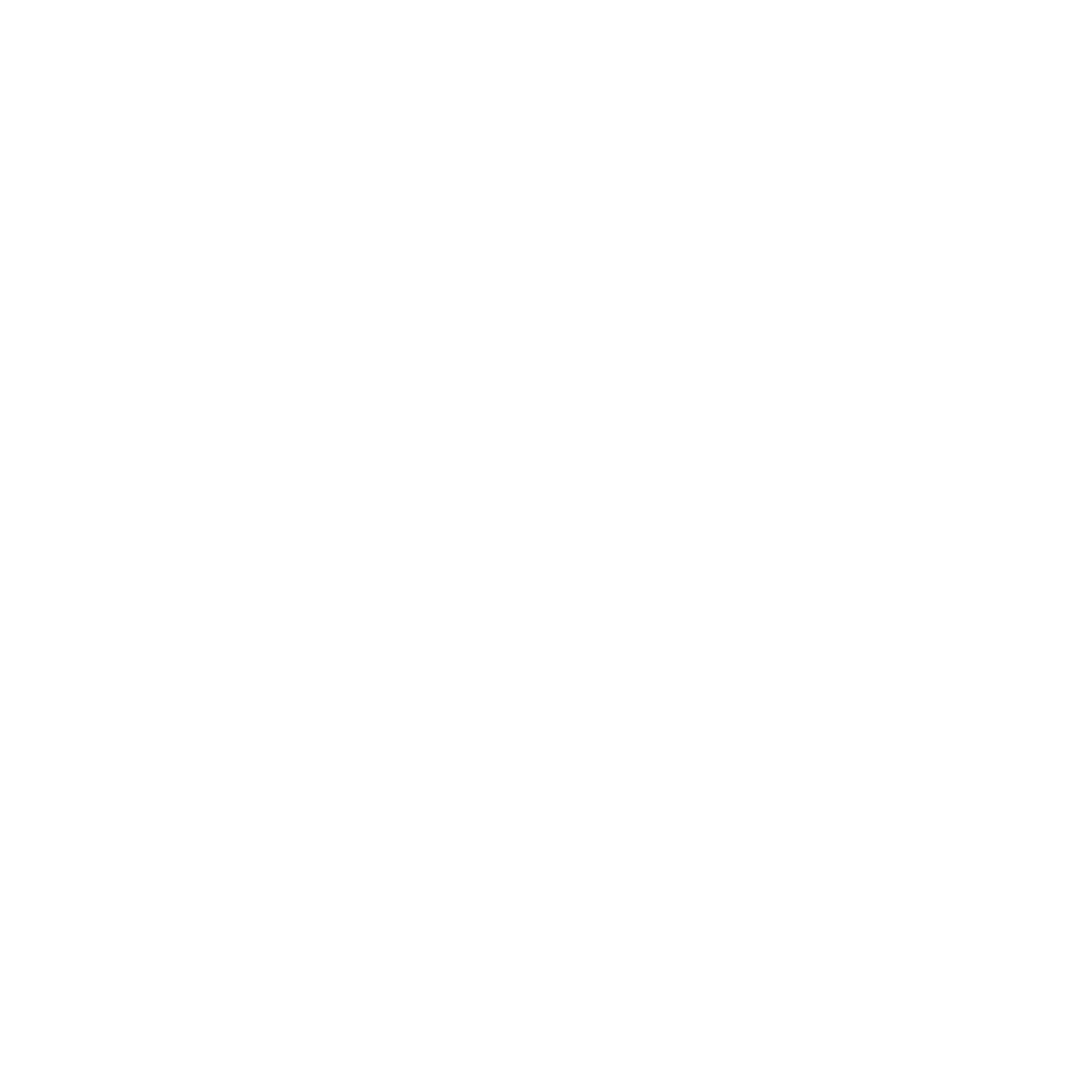 Amplified Intelligence